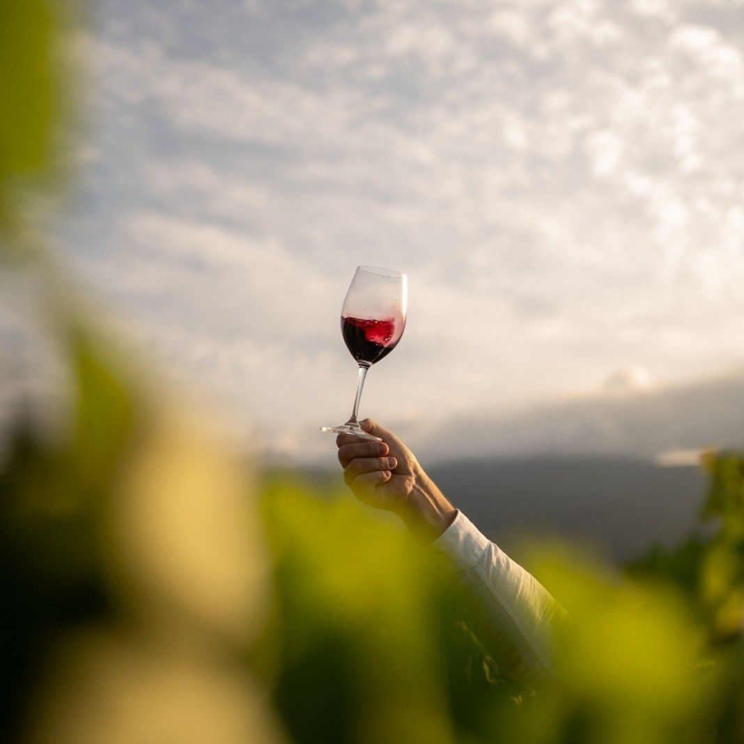 Copa de vino tinto carménère chileno a encontrar en Les Dix Vins, tu vinoteca y vino bar favorito