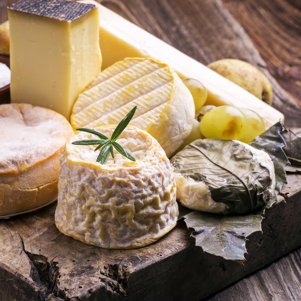 Ilustración de una gran rueda de brie frente a un pequeño camembert en su caja de madera