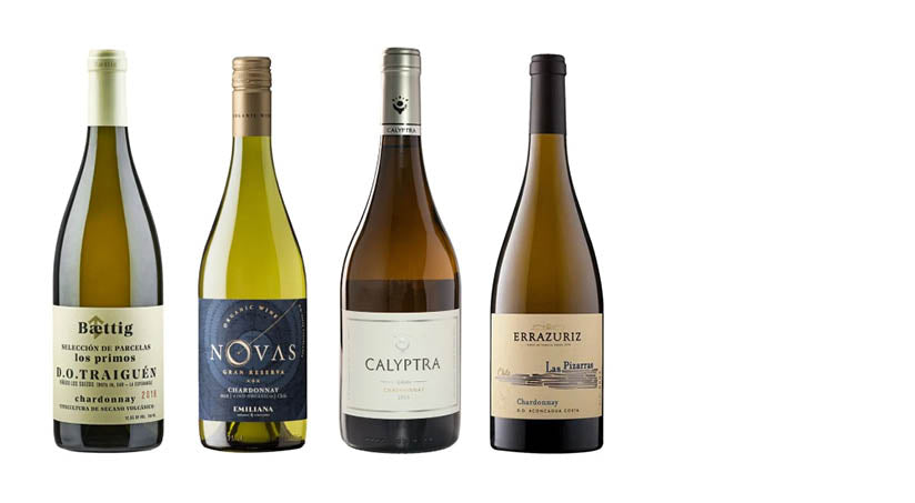 Chardonnay -  Chilenos