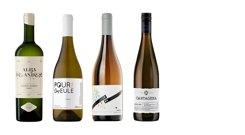 Otras Cepas Blancas - Chilenos