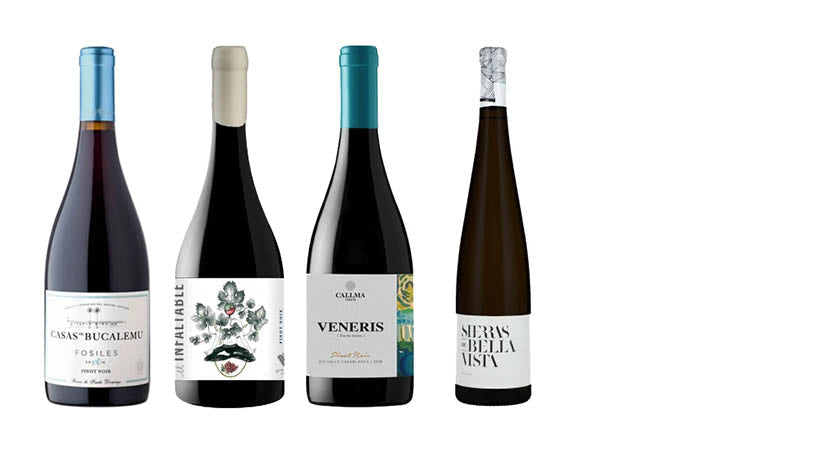 Pinot Noir - Chilenos