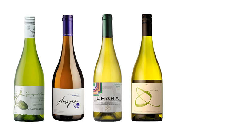 Sauvignon Blanc - Chilenos