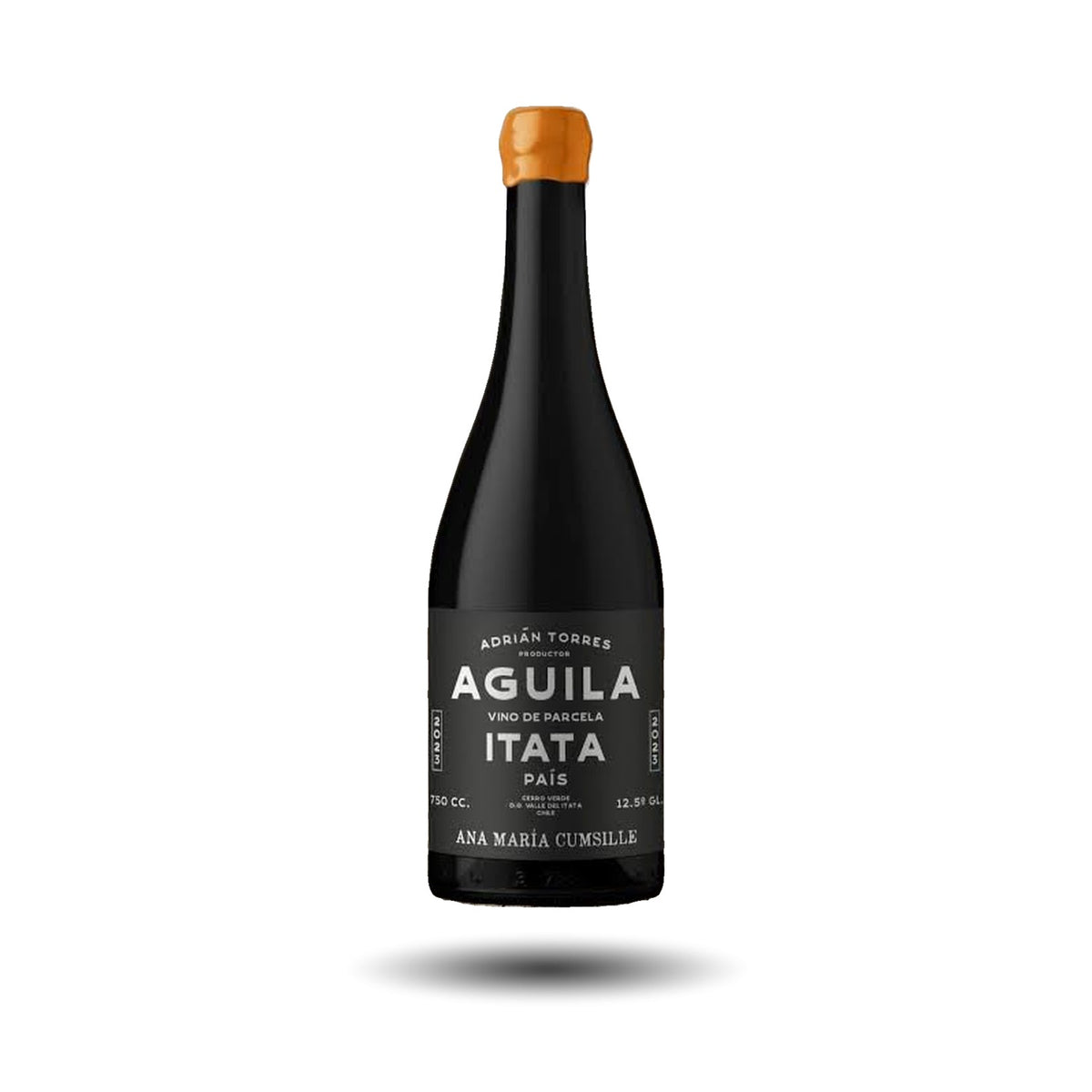 Ana María Cumsille - Águila, País
