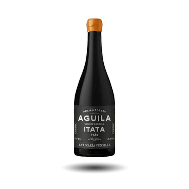 Ana María Cumsille - Águila, País