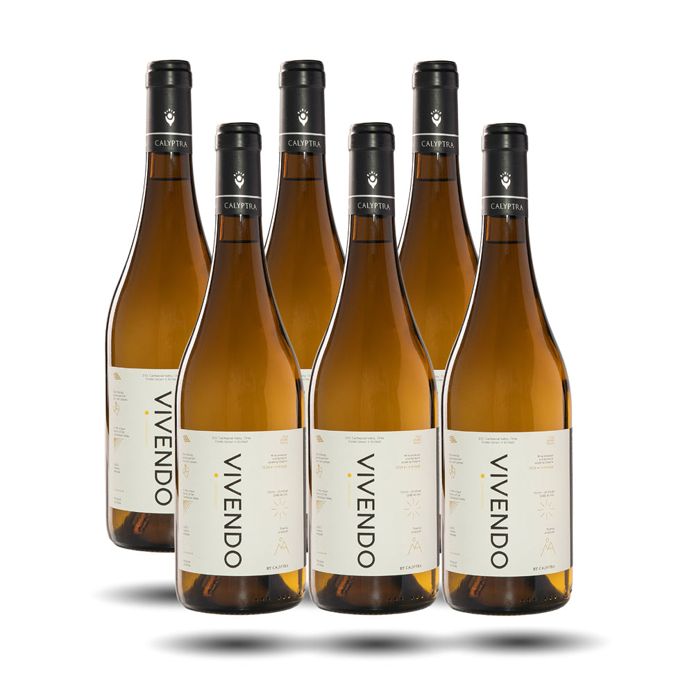 Calyptra - Vivendo, Chardonnay, 2025