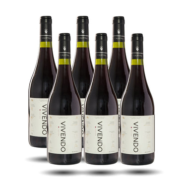 Calyptra - Vivendo, Pinot Noir, 2024