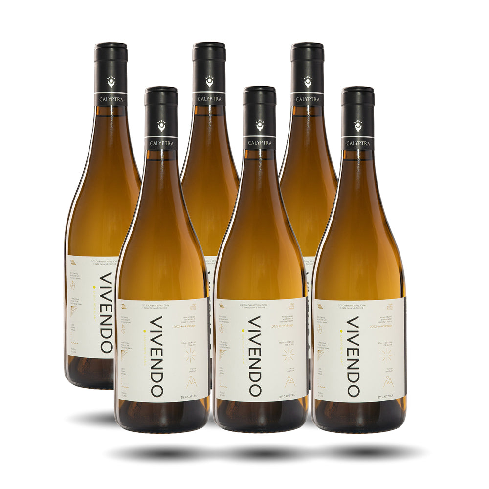 Sauvignon Blanc 2025 Caja 6 Botellas