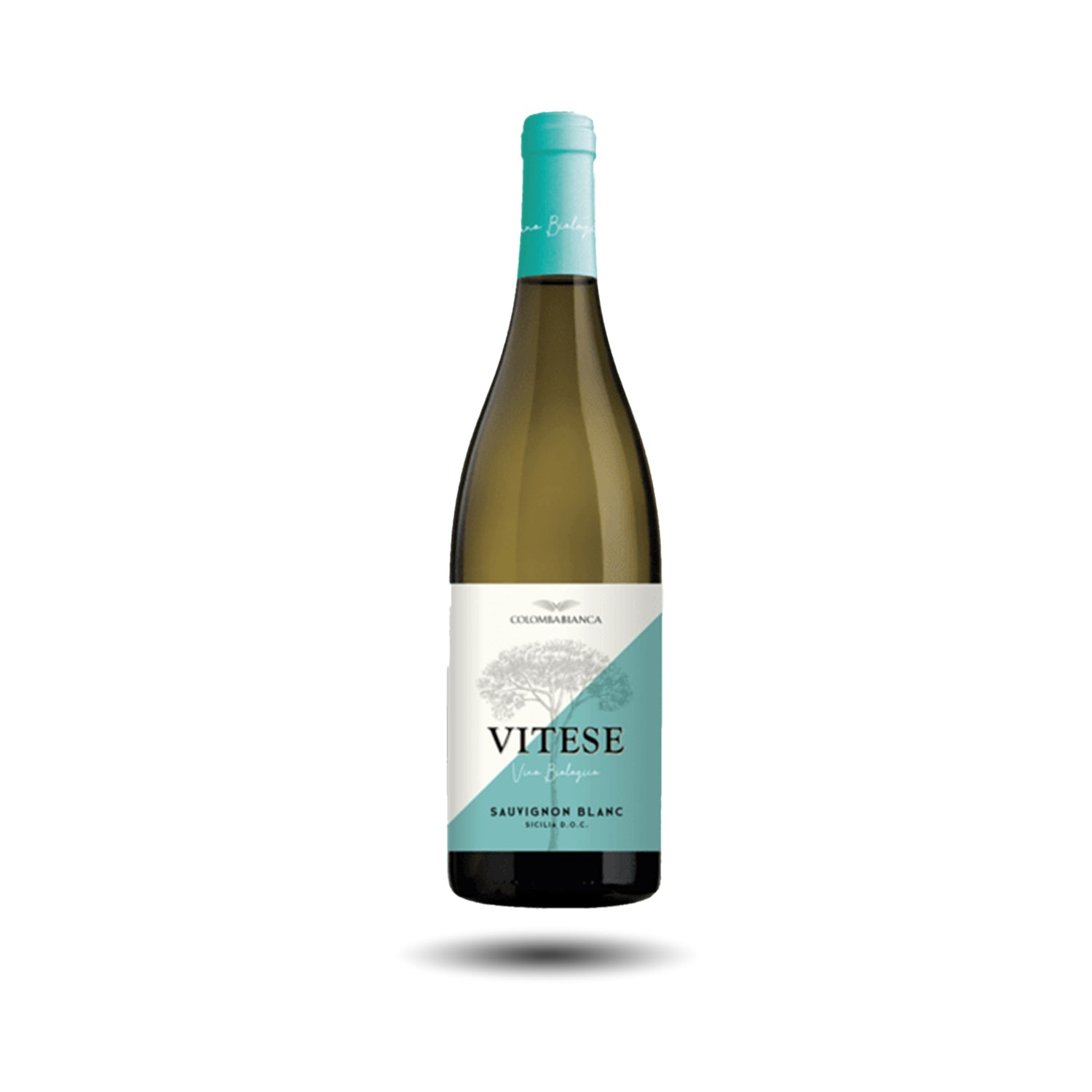 Italia - Sicilia, Colomba Bianca, Vitese, Grillo, 2024