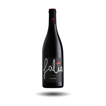 Botella de Veneto SalvaTerra Falia, vino tinto italiano del Véneto – Les Dix Vins