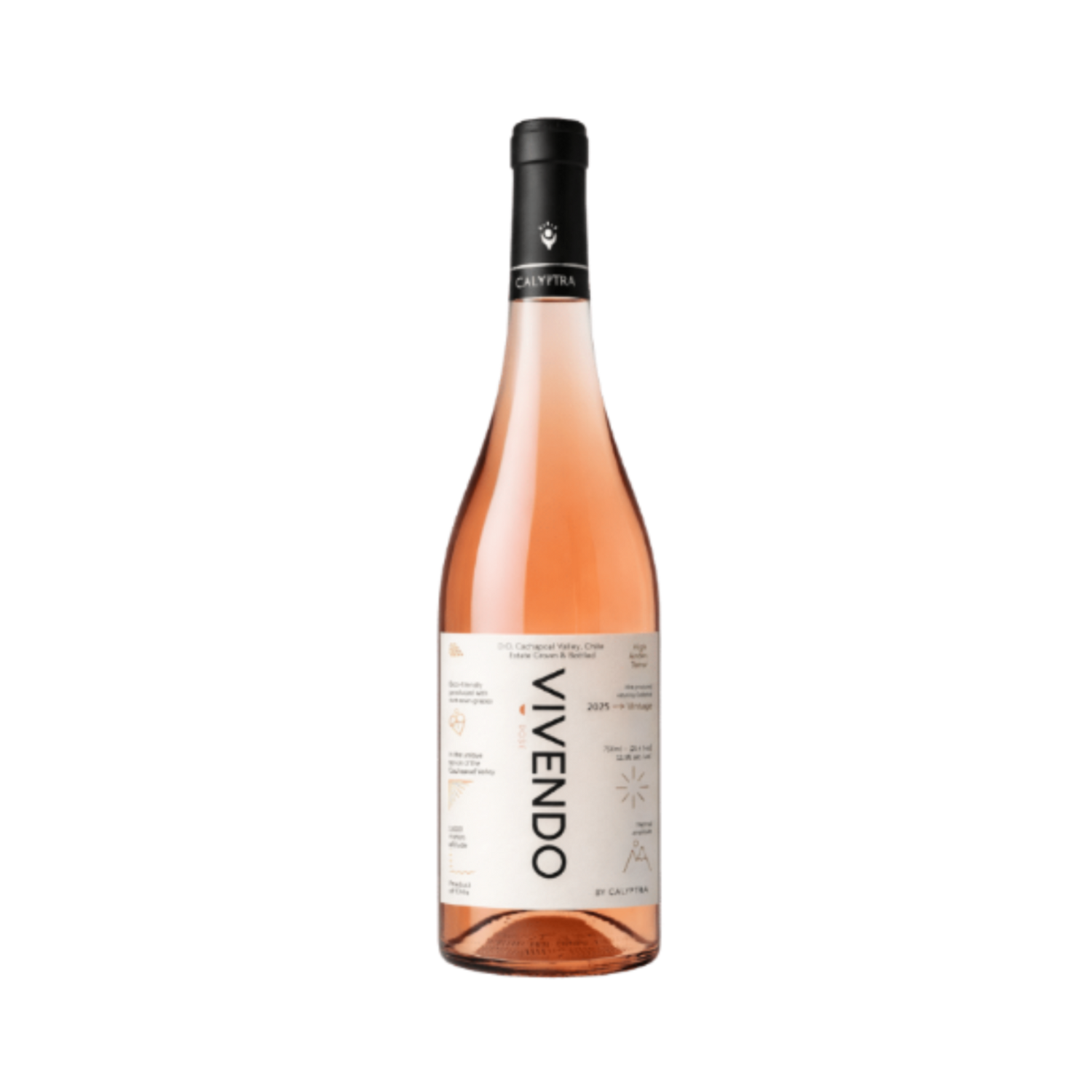 Calyptra - Vivendo, Rosado, 2025