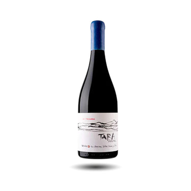 Ventisquero - Tara, Pinot Noir, 2021