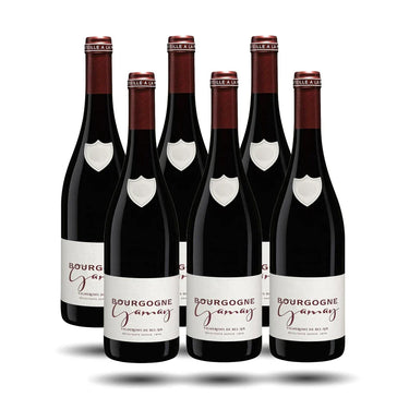 Bourgogne - Vignerons Bel-Air, Gamay, 2021