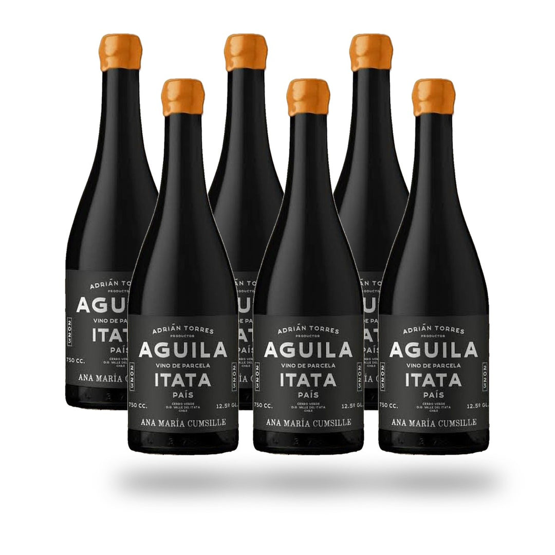 Caja 6 botellas Ana María Cumsille Águila País 2023