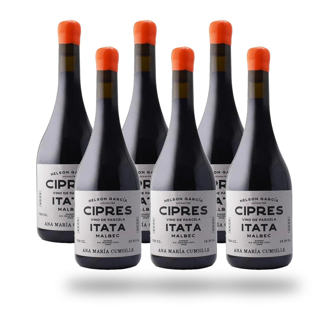 Caja 6 botellas Ana María Cumsille Cipres Malbec