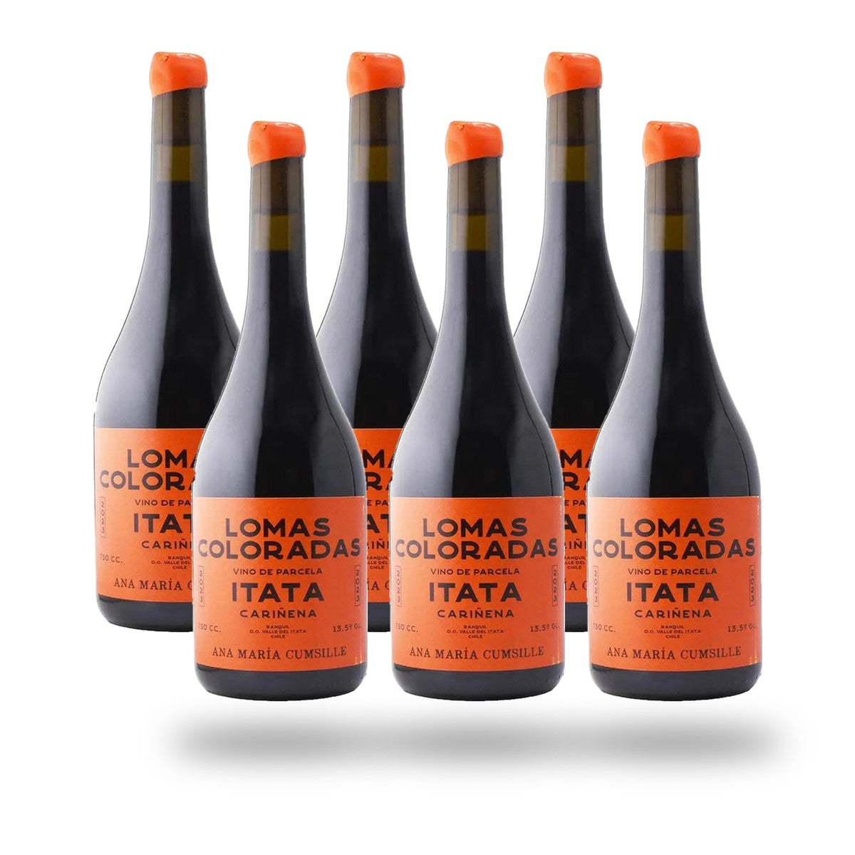 Caja 6 botellas Ana María Cumsille Lomas Coloradas Carignan