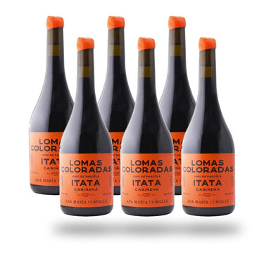 Caja 6 botellas Ana María Cumsille Lomas Coloradas Carignan