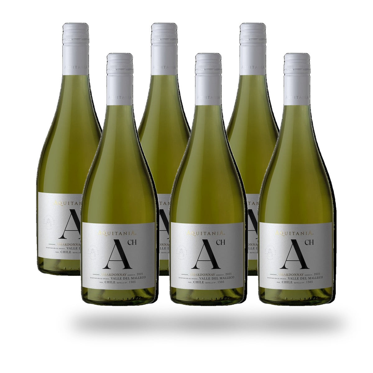 Caja 6 botellas Aquitania A Chardonnay 2025