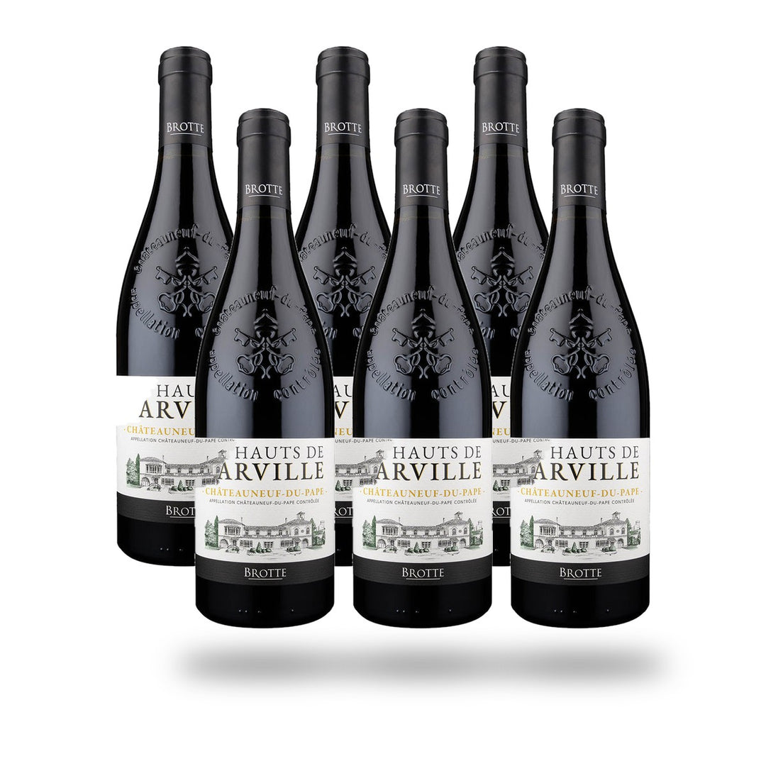 Caja 6 botellas Châteauneuf-du-Pape Brotte Les Hauts de Barville 2023
