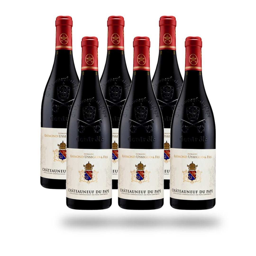 Caja 6 botellas Châteauneuf-du-Pape Domaine Usseglio 2023