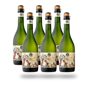 Caja 6 botellas Choapa Aquelarre Brut