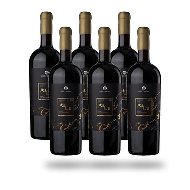 Caja 6 botellas Choapa AuCu 2020