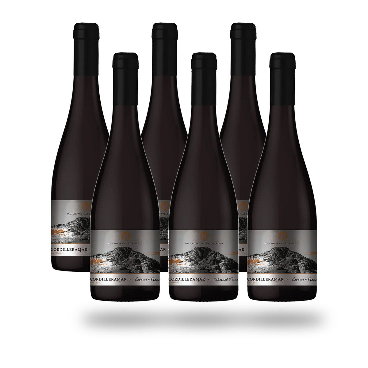 Caja 6 botellas Choapa Cordilleramar Cabernet Franc 2024