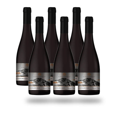Caja 6 botellas Choapa Cordilleramar Cabernet Franc 2024