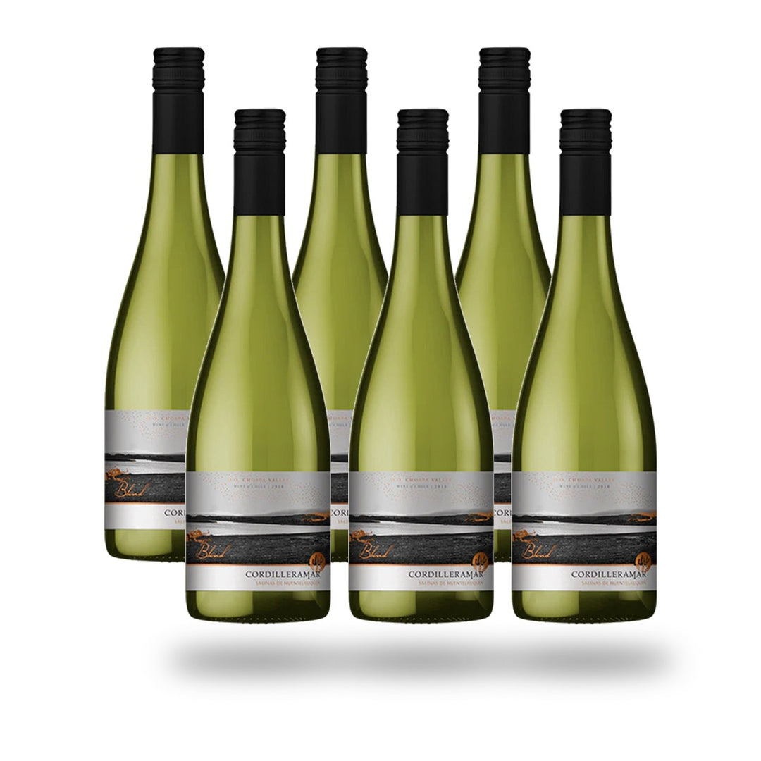 Caja 6 botellas Choapa Cordilleramar Ensamblaje Blanco 2025
