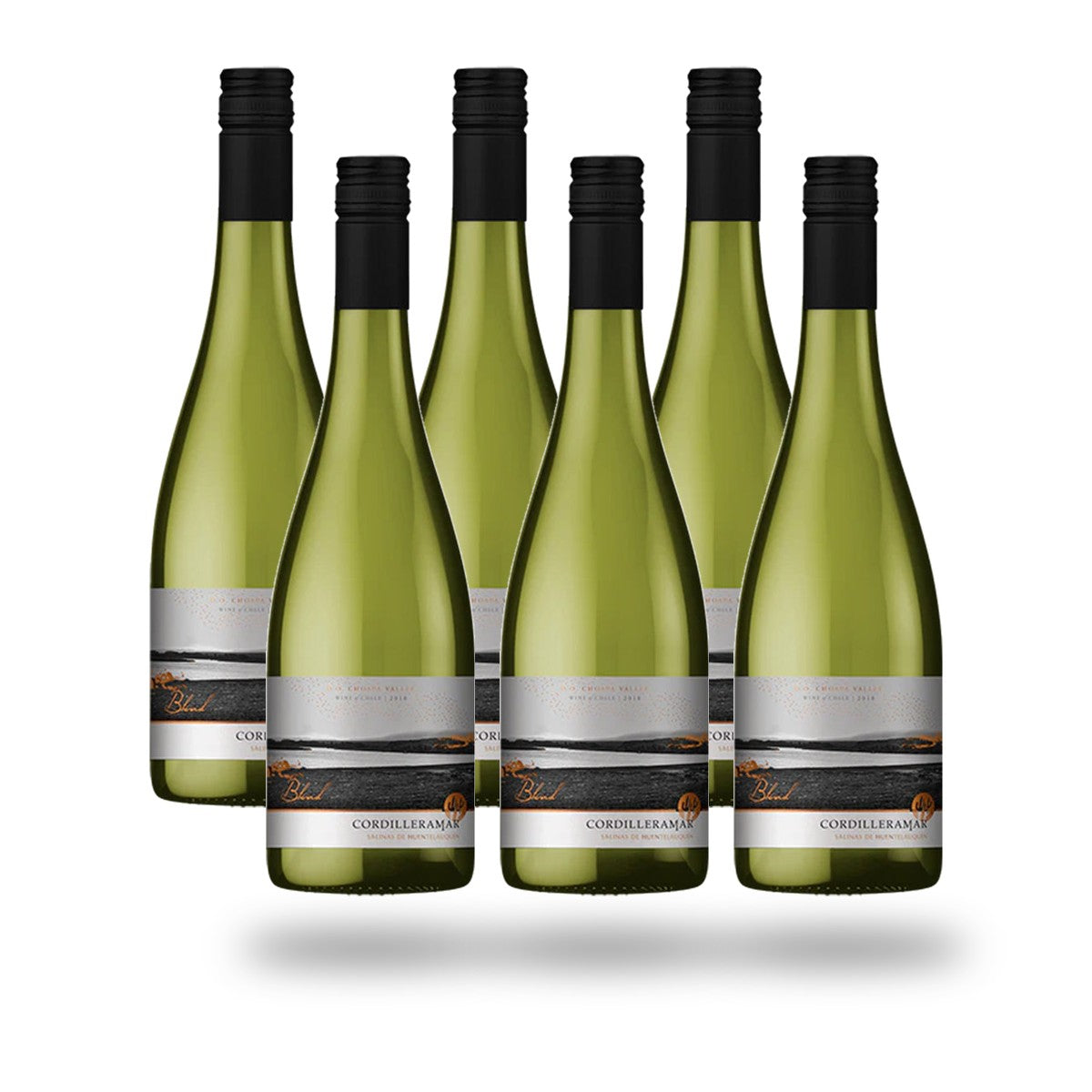 Caja 6 botellas Choapa Cordilleramar Ensamblaje Blanco 2025