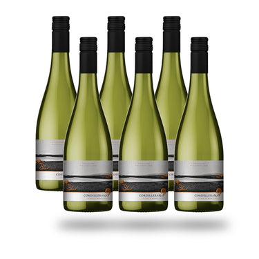 Caja 6 botellas Choapa Cordilleramar Ensamblaje Blanco 2025