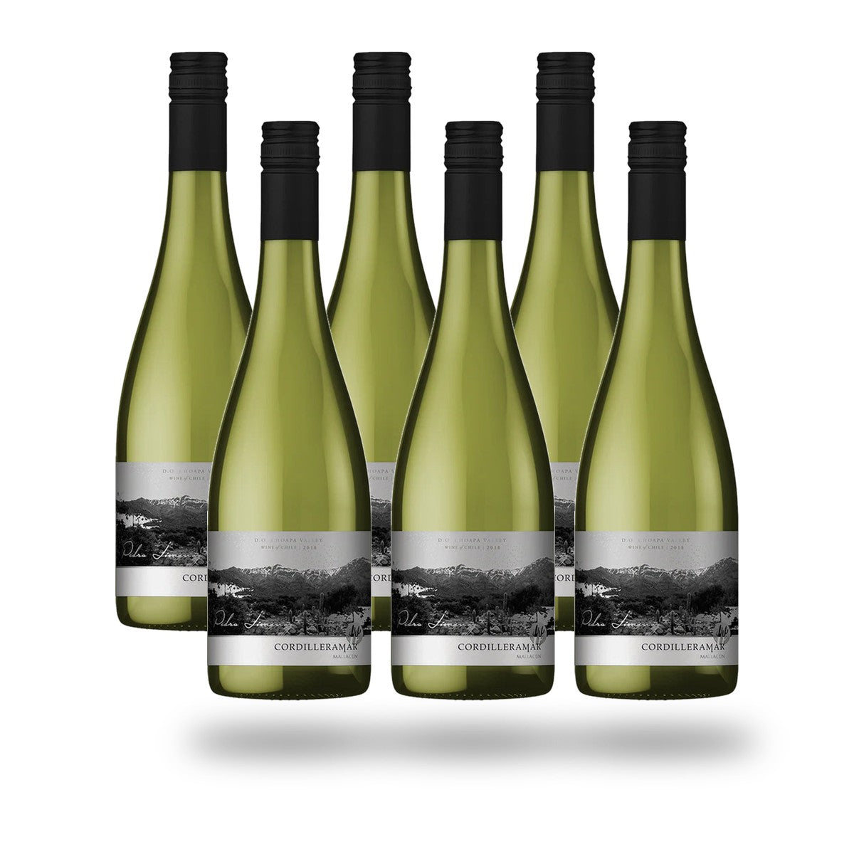 Caja 6 botellas Choapa Cordilleramar Pedro Jiménez 2023