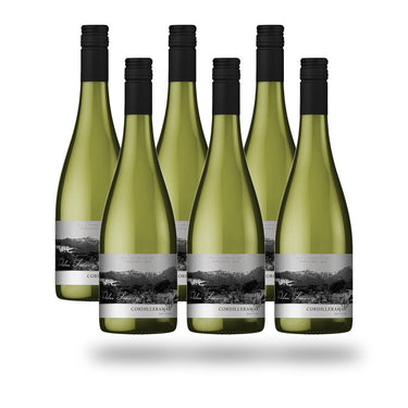 Caja 6 botellas Choapa Cordilleramar Pedro Jiménez 2023