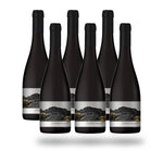 Caja 6 botellas Choapa Cordilleramar Syrah 2019