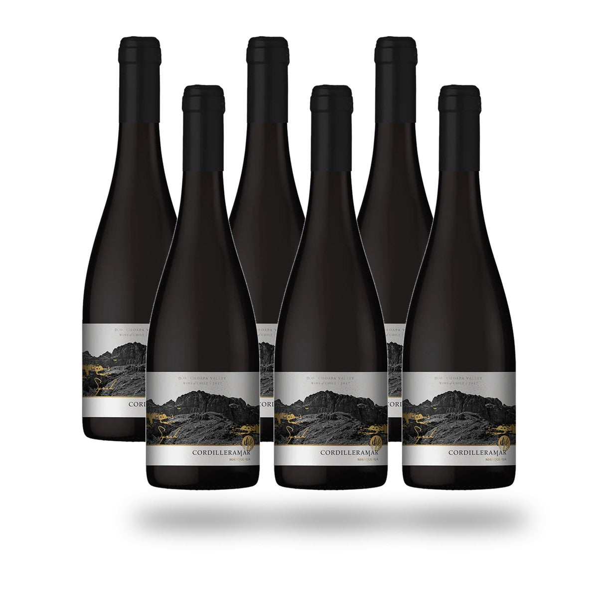 Caja 6 botellas Choapa Cordilleramar Syrah 2019