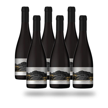 Caja 6 botellas Choapa Cordilleramar Syrah 2019
