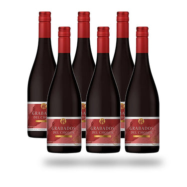 Caja 6 botellas Choapa Grabados del Choapa Carmenere 2022