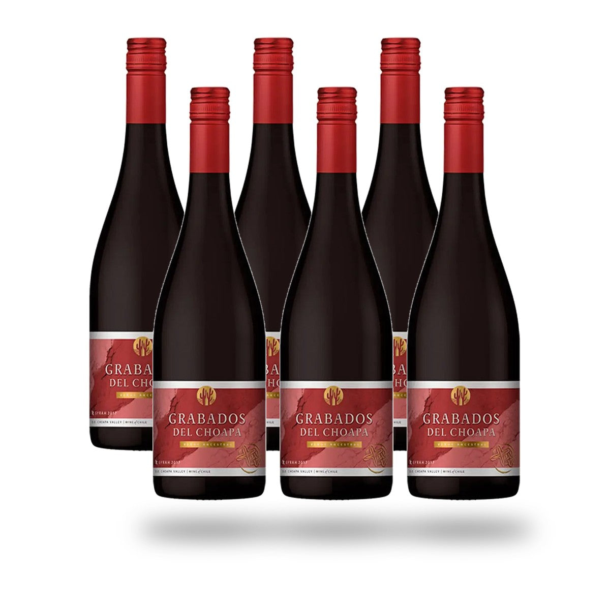 Caja 6 botellas Choapa Grabados del Choapa Merlot 2022