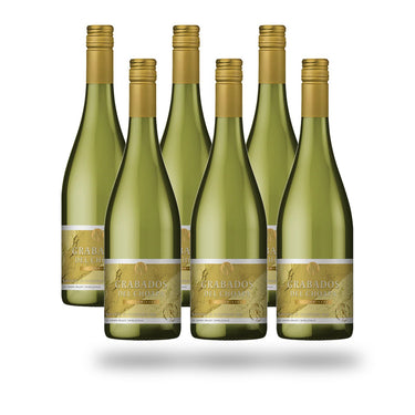 Caja 6 botellas Choapa Grabados del Choapa Moscatel de Alejandría 2022