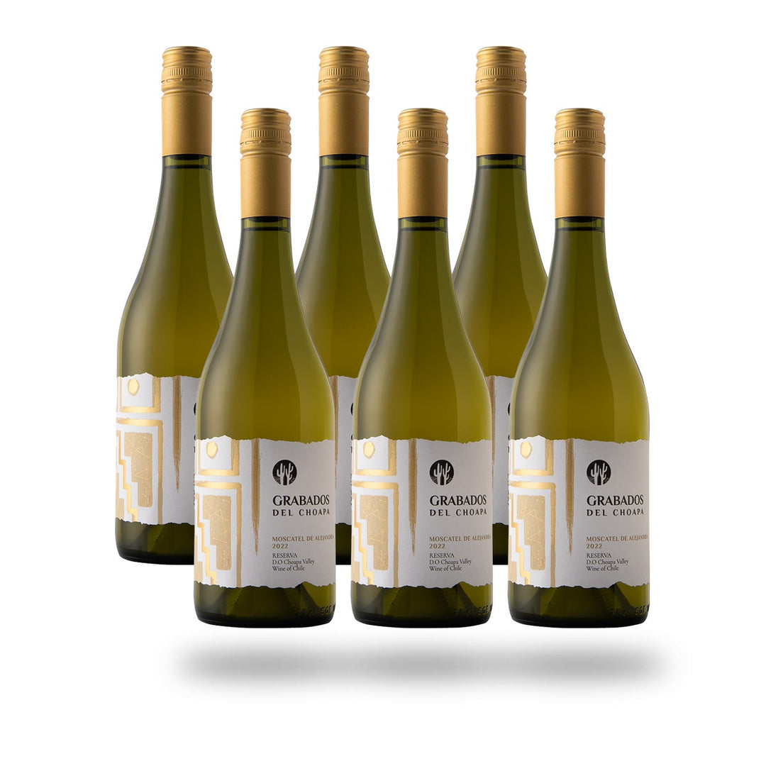 Caja 6 botellas Choapa Grabados del Choapa Moscatel de Alejandría 2022