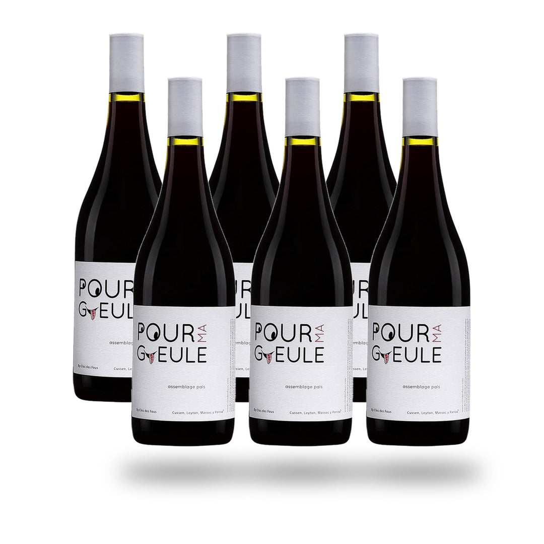 Caja 6 botellas Clos des Fous Pour ma Gueule Assemblage 2022