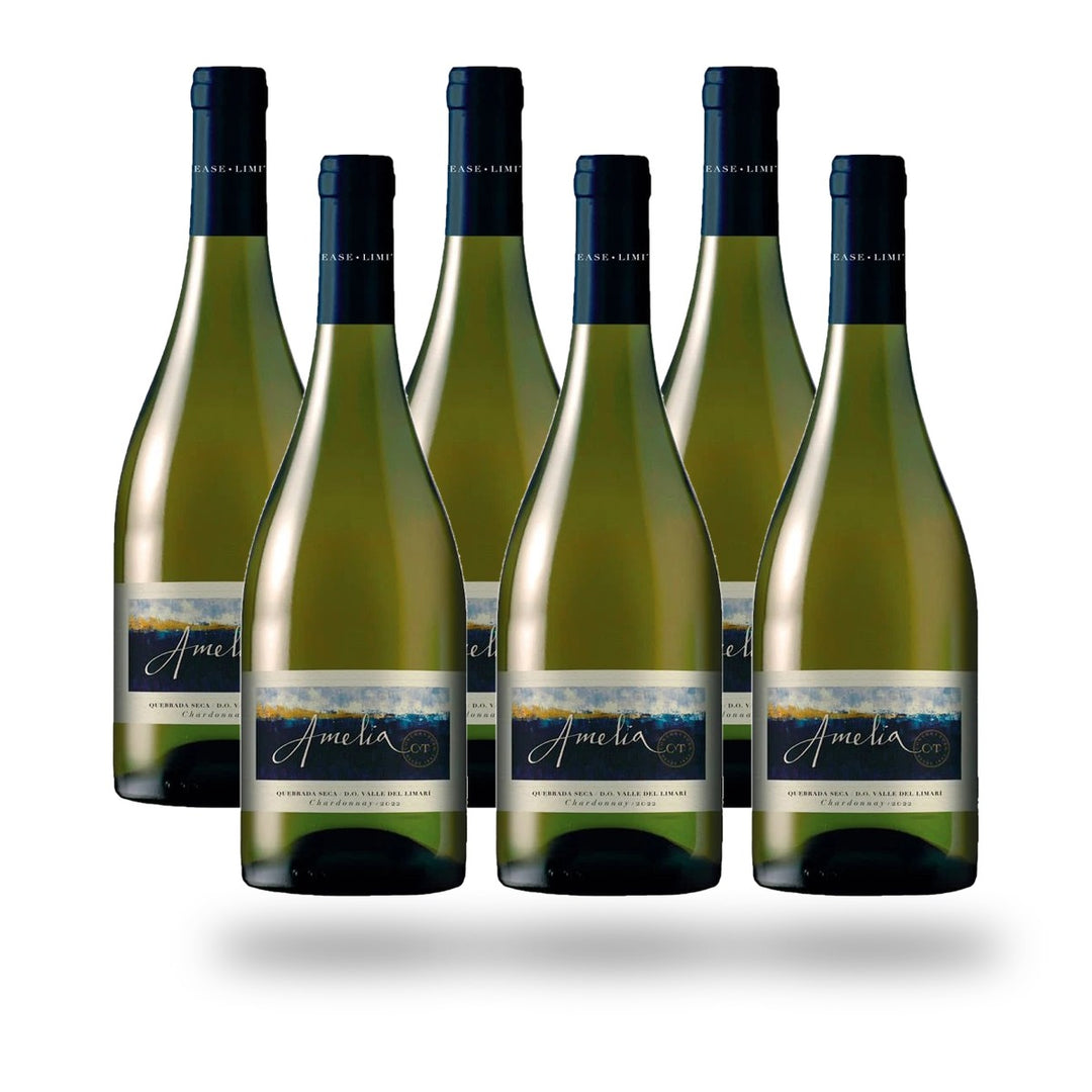 Caja 6 botellas Concha y Toro Amelia Quebrada Seca Chardonnay 2024