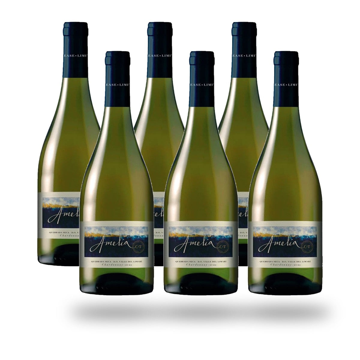 Caja 6 botellas Concha y Toro Amelia Quebrada Seca Chardonnay 2024
