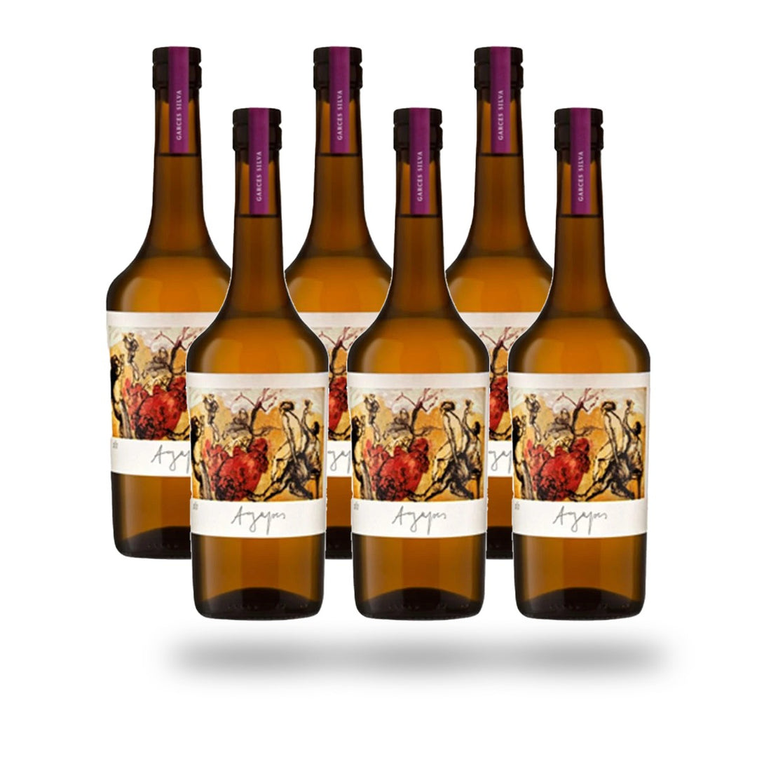 Caja 6 botellas Garces Silva Agapes