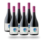 Caja 6 botellas Garces Silva Amayna Garden Blend Red 2019