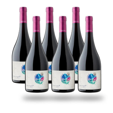 Caja 6 botellas Garces Silva Amayna Garden Blend Red 2019