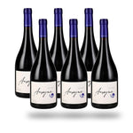 Caja 6 botellas Garces Silva Amayna Pinot Noir 2023
