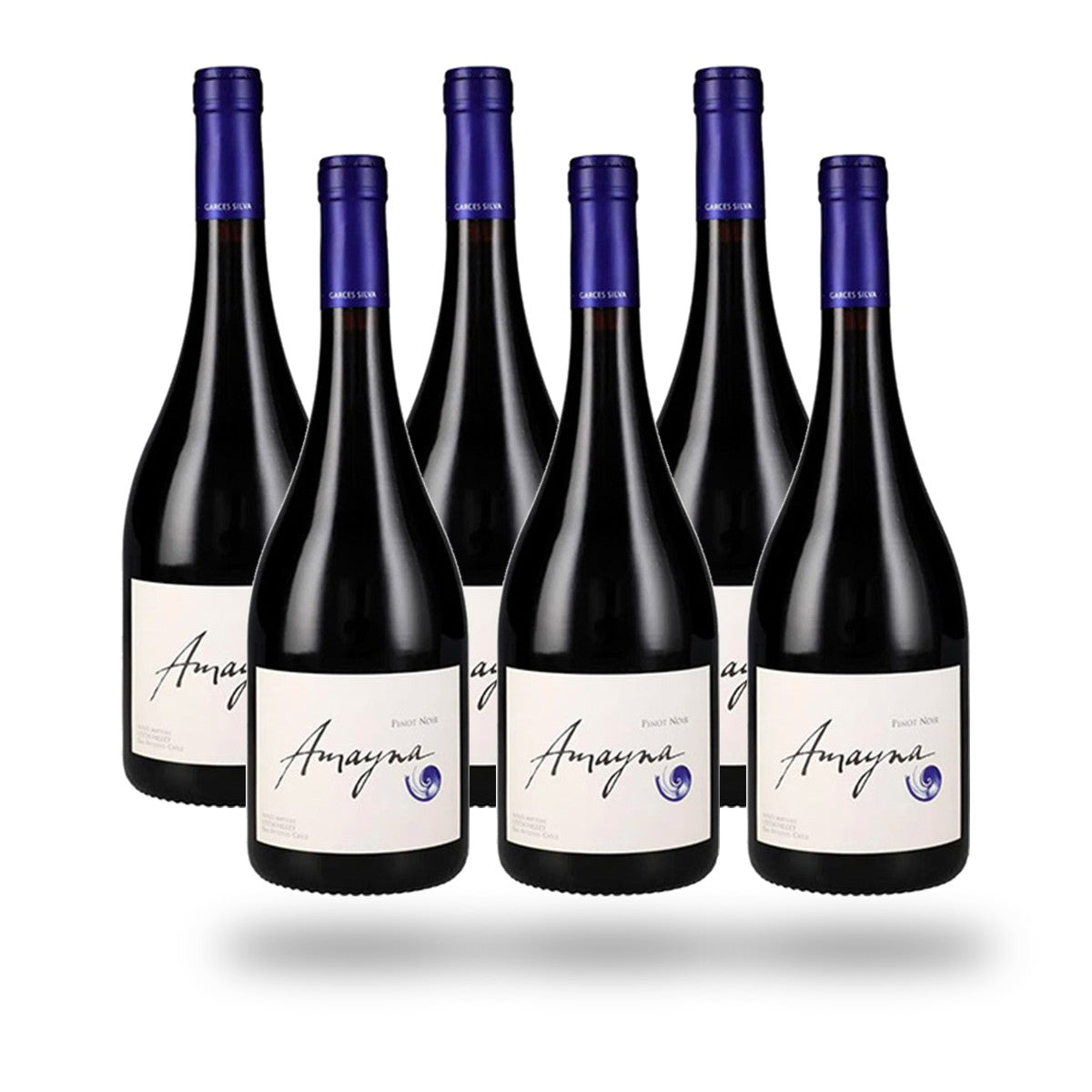 Caja 6 botellas Garces Silva Amayna Pinot Noir 2023