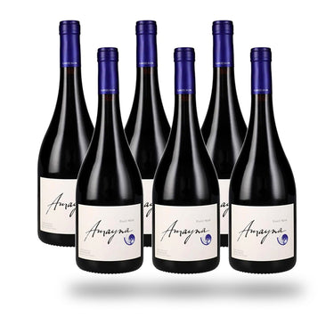 Caja 6 botellas Garces Silva Amayna Pinot Noir 2023