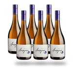 Caja 6 botellas Garces Silva Amayna Sauvignon Blanc 2025