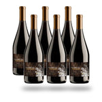 Caja 6 botellas La Roncière Licantén Malbec